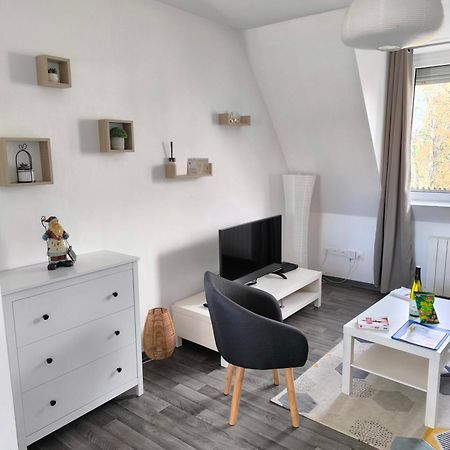 Appartement Cosy A קולמר מראה חיצוני תמונה