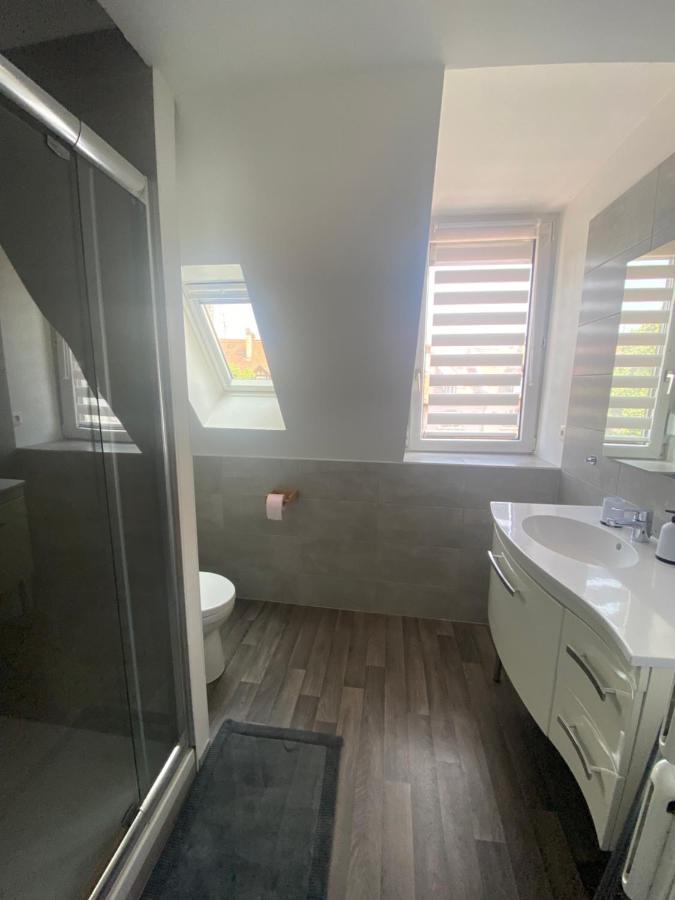 Appartement Cosy A קולמר מראה חיצוני תמונה