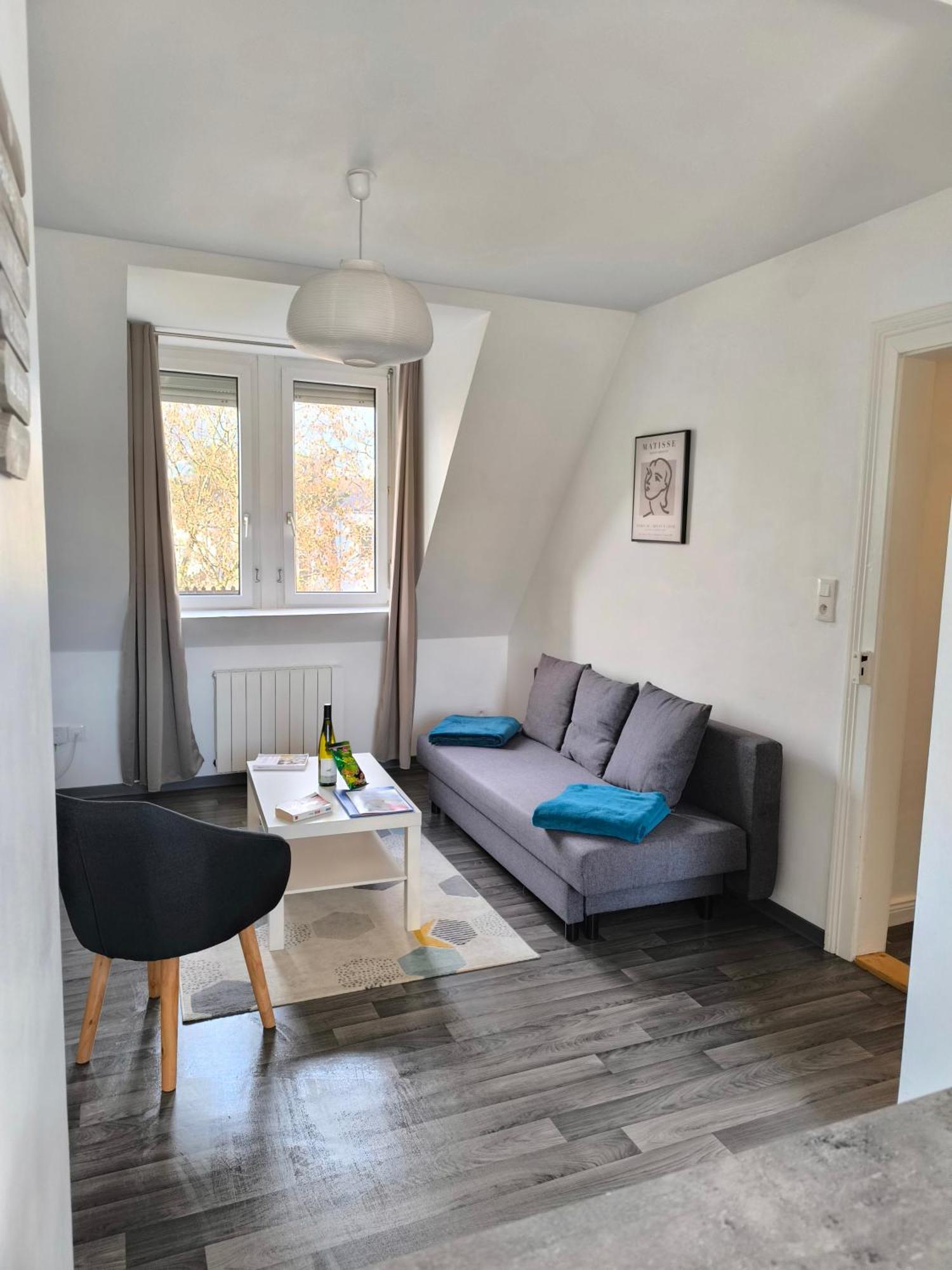 Appartement Cosy A קולמר מראה חיצוני תמונה