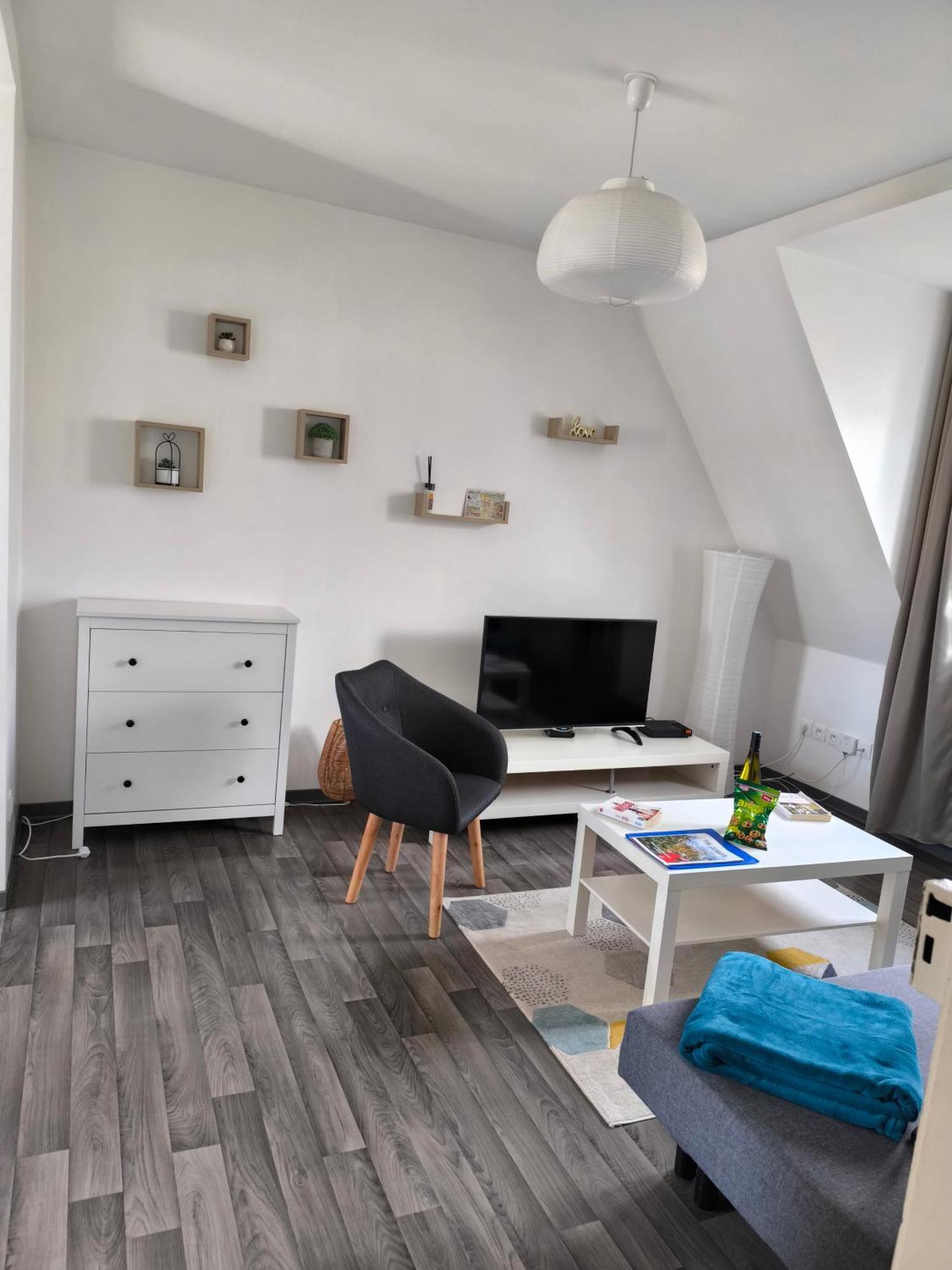 Appartement Cosy A קולמר מראה חיצוני תמונה