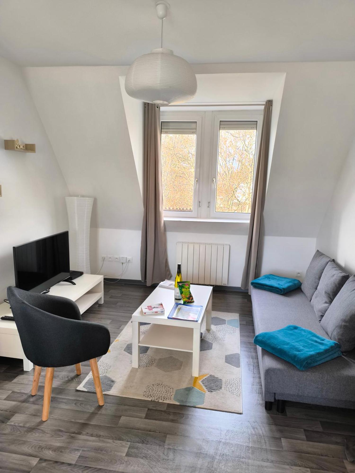 Appartement Cosy A קולמר מראה חיצוני תמונה